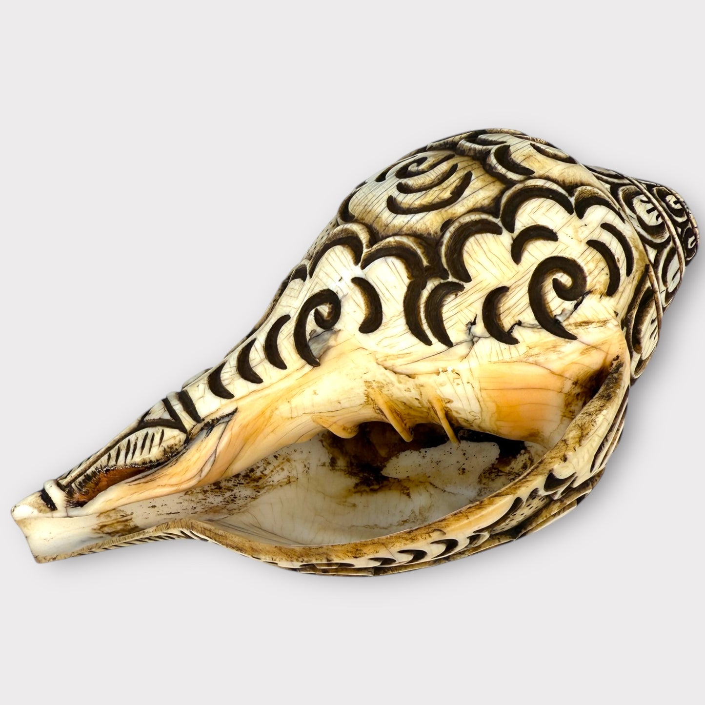 Conque Tibétaine Gravée grand model