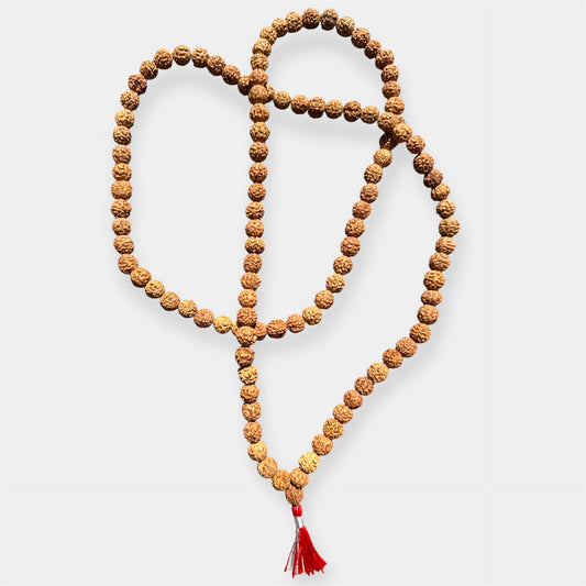 Mâlâ de Rudraksha