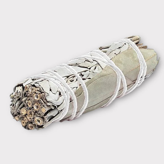 Bâton de sauge blanche & Eucalyptus