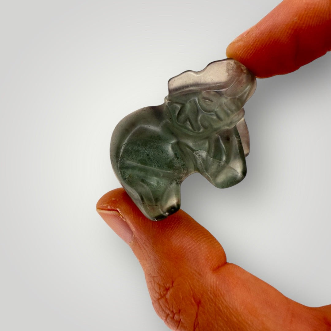 Eléphant fluorine multicolore