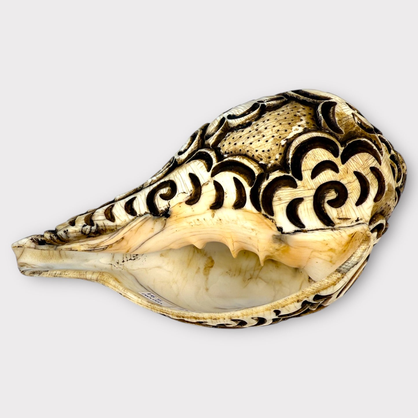 Conque Tibétaine Gravée petit model