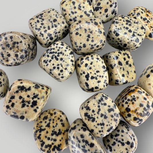 Pierre roulée jaspe dalmatien