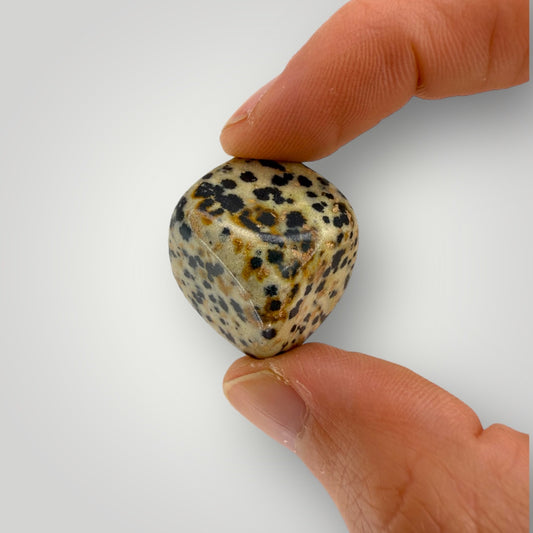 Pierre roulée jaspe dalmatien